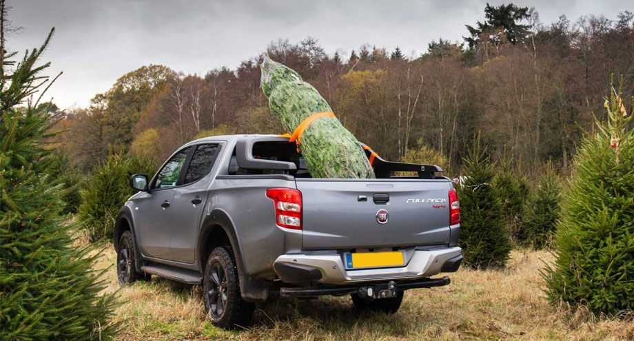 Drivers may face fines for loading Christmas trees incorrectly
