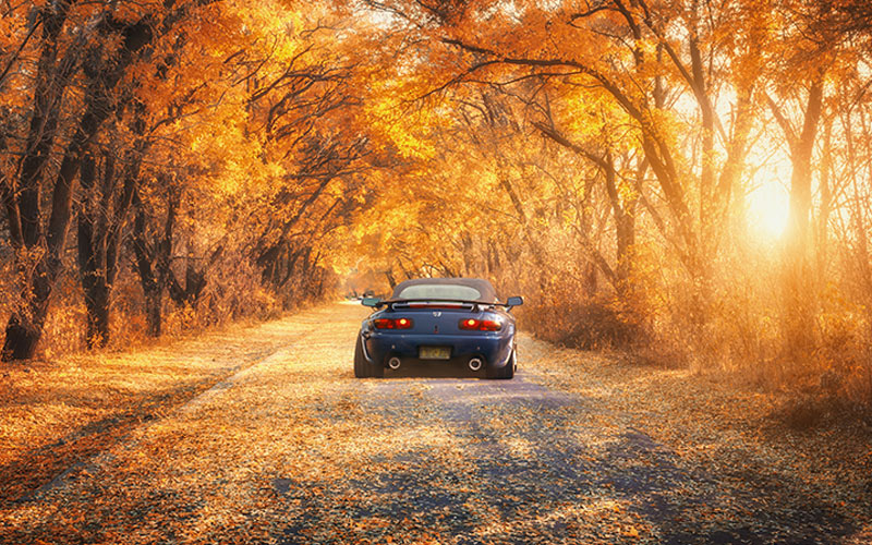 Tips for Driving Your Motability Vehicle Safely This Autumn