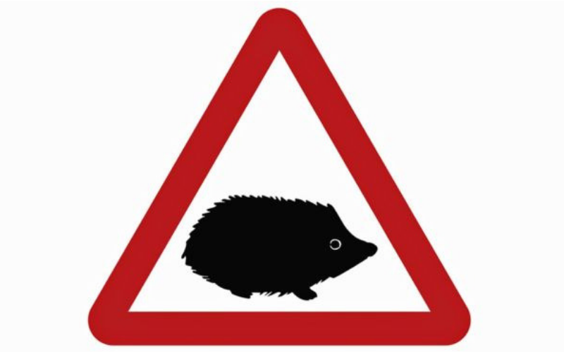 New Road Signs Implemented To Protect UK Wildlife