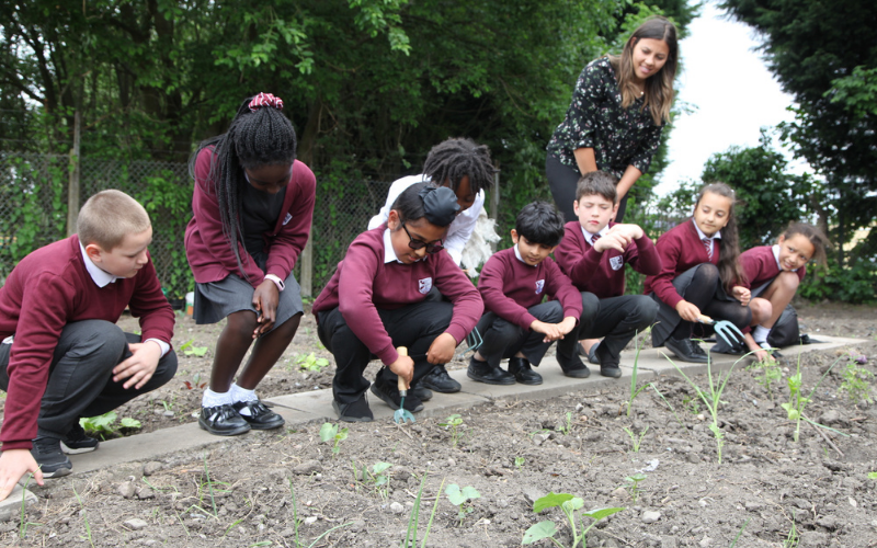 Bristol Street Motors Supports Wolverhampton's Community Allotment Project