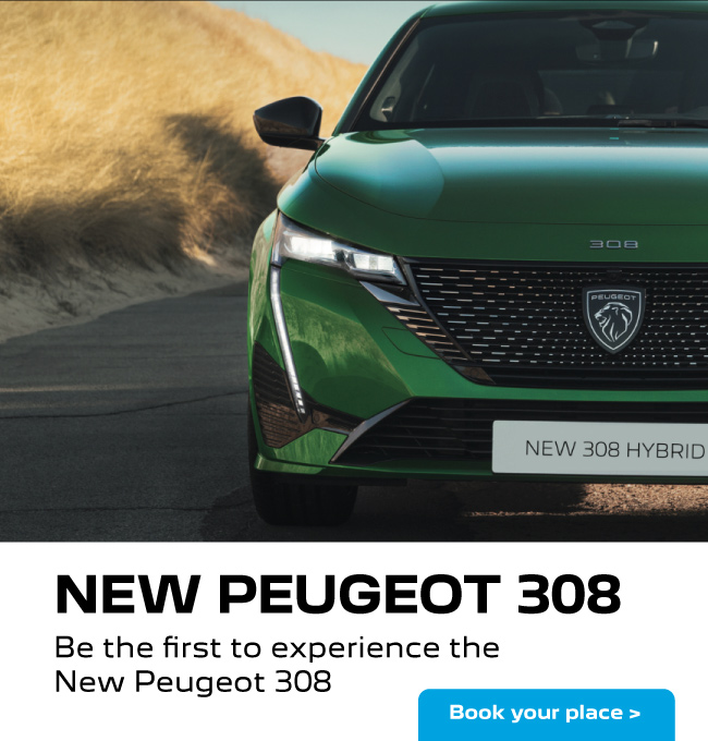 Peugeot 308 VIP 160522
