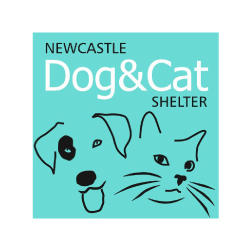 Newcastle Cat and Dog Shelter