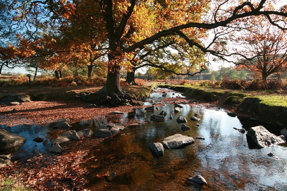 Best Road Trip Destinations in Central UK