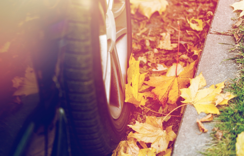 Autumn Driving Tips