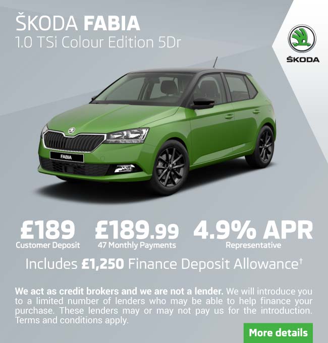 Skoda Fabia Colour Chart