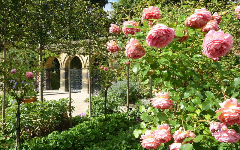 The Alnwick Garden