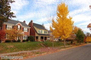 Motorists given aftersales tips for autumn driving